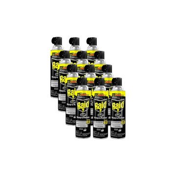 Raid Wasp & Hornet Killer Spray – 17.5 oz, 12-Pack